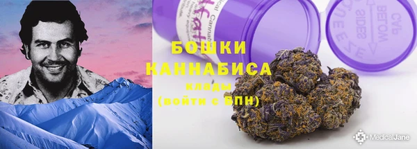 прущий лед Горняк
